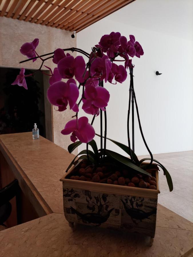 Casa De Campo No Resort Residence Thermas De Santa Barbara อากวส เจ ซานตาบาร์บารา ภายนอก รูปภาพ